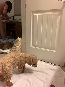 balad13 online show from 21, 1, 2025