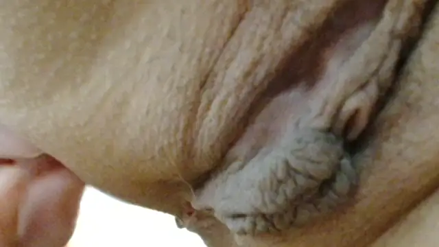 sonyx online show from 24, 3, 2026