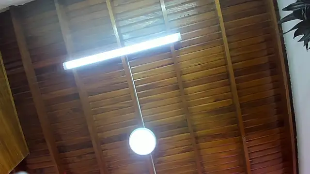 Snapshot of Levy_Steve chatting on 26, 11, 2025 Levy Steve online show from 26, 11, 2025