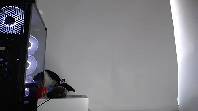 harold 18  online show from 2, 10, 2025