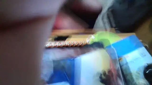 Javier bear online show from 15, 1, 2026