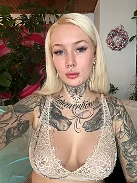 Stella-Kink online show from 14, 12, 2024