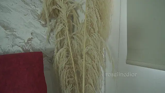 roselinedior online show from 1, 12, 2025