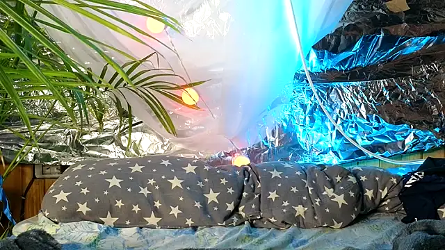 Jony Marta online show from 9, 10, 2025