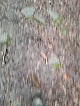 Snapshot of FreezingTie850 chatting on 10, 3, 2026 FreezingTie850 online show from 10, 3, 2026