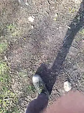 Snapshot of FreezingTie850 chatting on 11, 3, 2026 FreezingTie850 online show from 11, 3, 2026