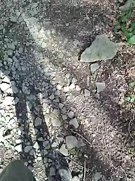 Snapshot of FreezingTie850 chatting on 6, 4, 2026 FreezingTie850 online show from 6, 4, 2026