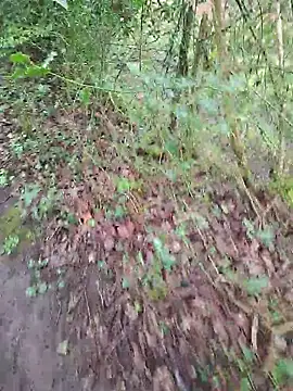 Snapshot of FreezingTie850 chatting on 14, 4, 2026 FreezingTie850 online show from 14, 4, 2026