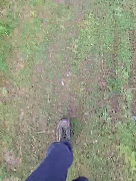 Snapshot of FreezingTie850 chatting on 16, 4, 2026 FreezingTie850 online show from 16, 4, 2026