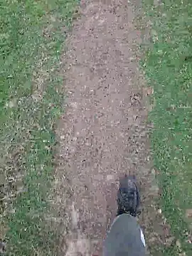 Snapshot of FreezingTie850 chatting on 21, 4, 2026 FreezingTie850 online show from 21, 4, 2026