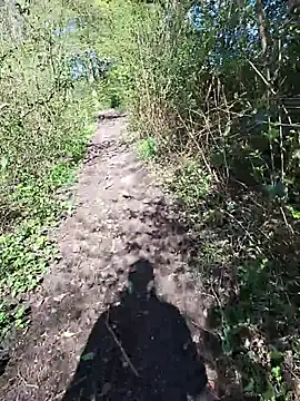 Snapshot of FreezingTie850 chatting on 24, 4, 2026 FreezingTie850 online show from 24, 4, 2026