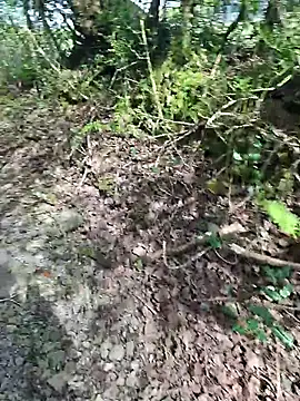 Snapshot of FreezingTie850 chatting on 26, 4, 2026 FreezingTie850 online show from 26, 4, 2026