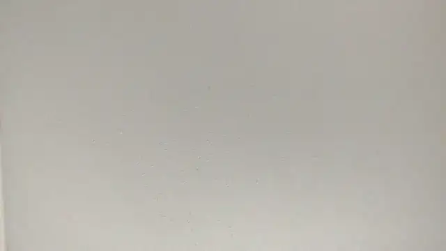 fukurbutt online show from 3, 2, 2026