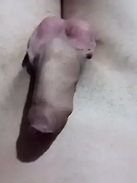 El22 1431 online show from 17, 1, 2025