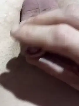 El22 1431 online show from 22, 11, 2025