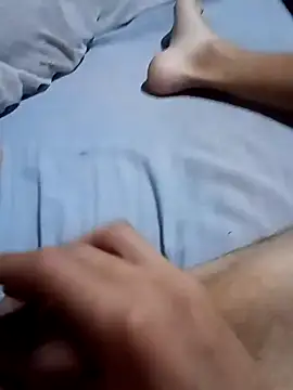 El22 1431 online show from 1, 12, 2025