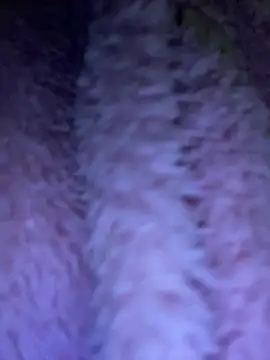 TrenaAnne online show from 21, 3, 2025