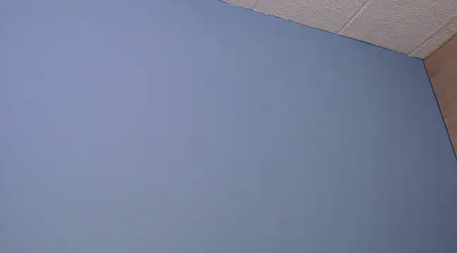 Snapshot of Lilly_macflyy chatting on 18, 12, 2024 Lilly macflyy online show from 18, 12, 2024