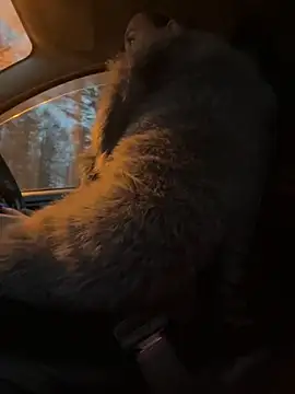 StasyWood online show from 27, 11, 2025