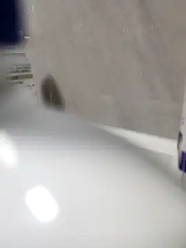 Beijing2000 online show from 27, 3, 2026