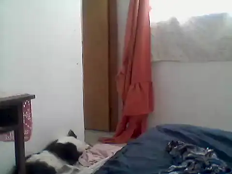 mariy  online show from 1, 12, 2025