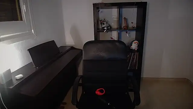 Windy butterfly online show from 7, 11, 2025