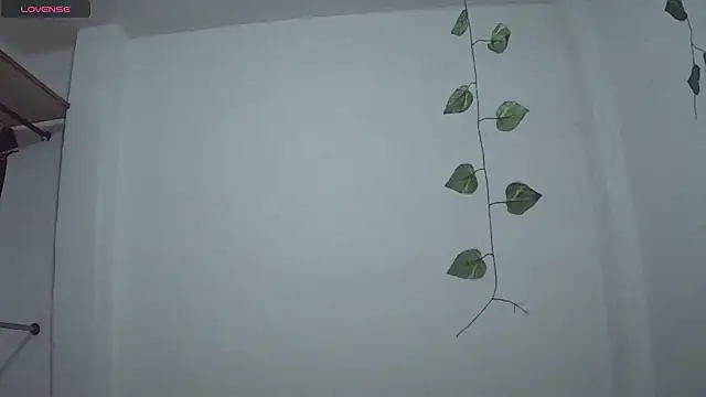 stephybrowm7 online show from 28, 10, 2025