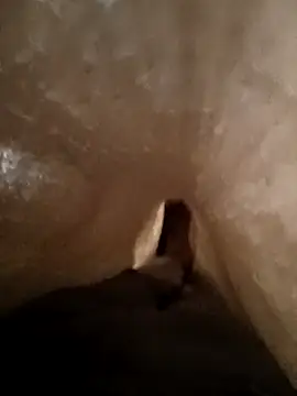 Snapshot of Shivaa- chatting on 21, 3, 2026 Shivaa- online show from 21, 3, 2026