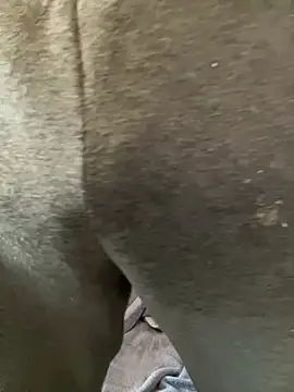 Snapshot of Enos3 chatting on 16, 4, 2026 Enos3 online show from 16, 4, 2026