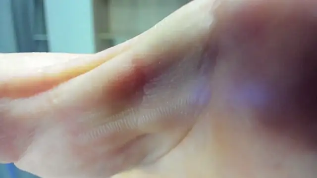 Alex Madrid online show from 3, 2, 2025