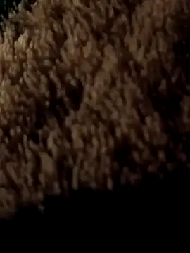 ySqmbVanbe online show from 7, 3, 2026