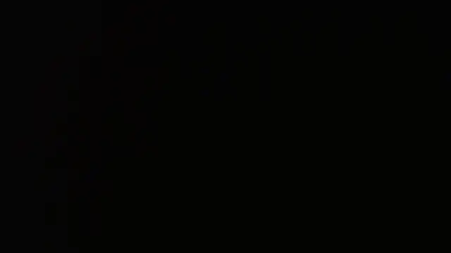 gauchinhaG online show from 6, 3, 2026