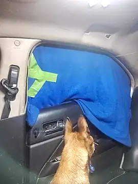 FloppyPickle4u online show from 18, 2, 2025