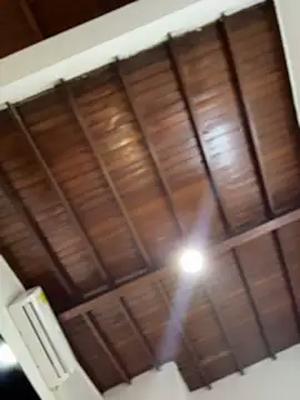 emiss  online show from 17, 1, 2026