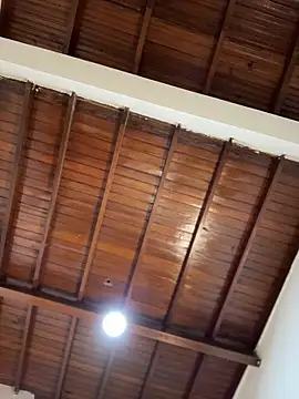 emiss  online show from 31, 1, 2026