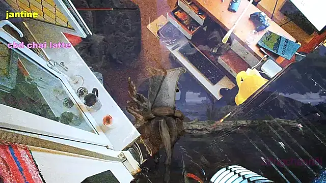 BongChannel online show from 9, 3, 2025