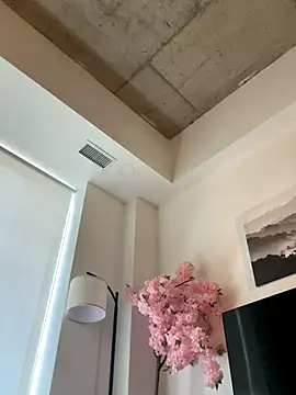 Snapshot of Your_Paris chatting on 13, 11, 2025 Your Paris online show from 13, 11, 2025