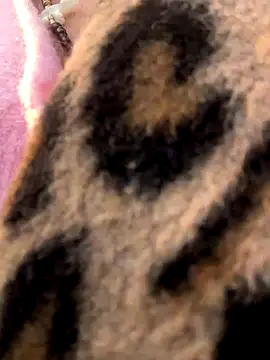 Snapshot of casalinga88 chatting on 7, 11, 2025 casalinga88 online show from 7, 11, 2025