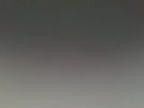 lovense test04 online show from 12, 12, 2024