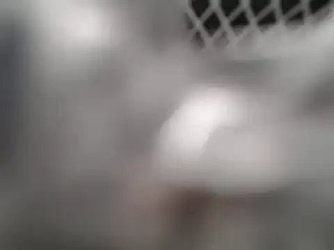 lovense test04 online show from 7, 3, 2025