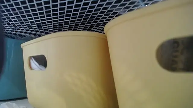 lovense test04 online show from 27, 2, 2026