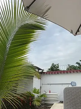 Snapshot of Ema_azel chatting on 16, 2, 2025 Ema azel online show from 16, 2, 2025