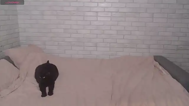 Fuckyoursecretary69 online show from 9, 12, 2024