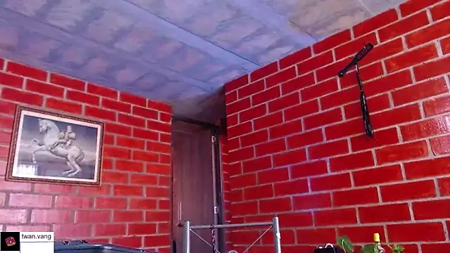 Trix fiore oficial online show from 11, 3, 2026