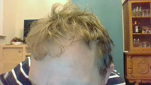 bertolini online show from 14, 11, 2025