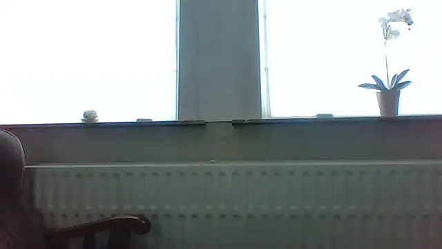 Snapshot of bertolini chatting on 13, 5, 2026 bertolini online show from 13, 5, 2026