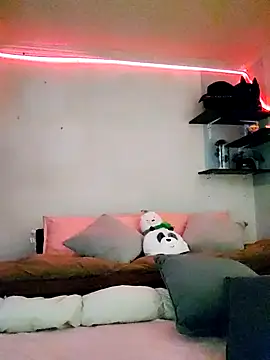 Paudelatorre online show from 8, 2, 2026