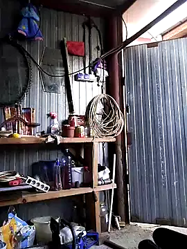 Sarpe84 online show from 22, 12, 2024