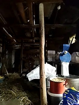 Sarpe84 online show from 24, 1, 2025