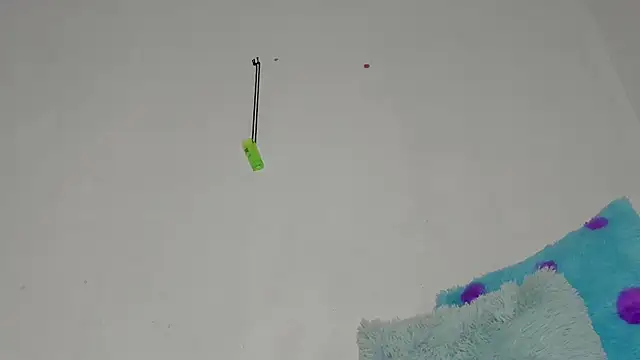 sebas rose online show from 11, 12, 2024